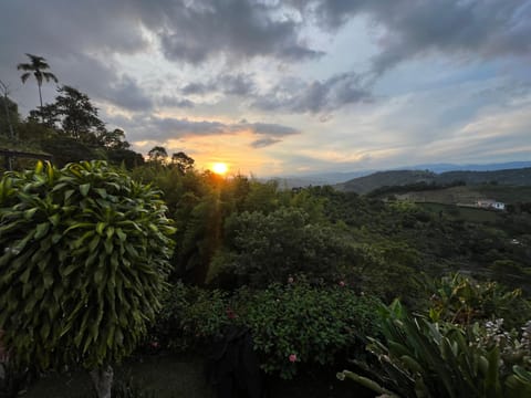 Garden view, Sunrise