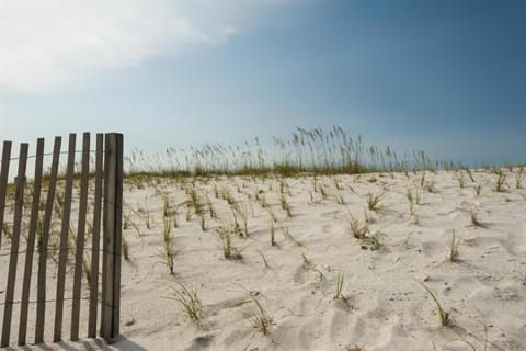 Para-Dise LZ House in Pensacola Beach