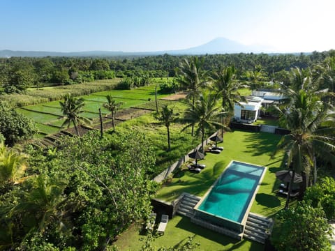 Natural landscape, Garden, Swimming pool