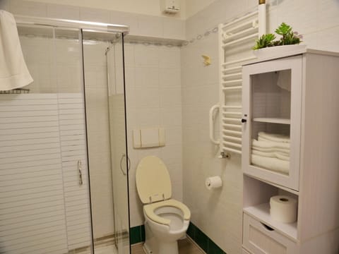 Shower, Toilet