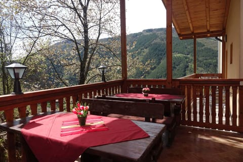 Patio, Natural landscape, View (from property/room), Balcony/Terrace, Dining area, Mountain view