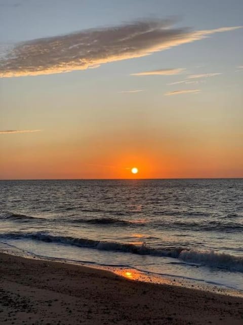 Natural landscape, Beach, Sunrise