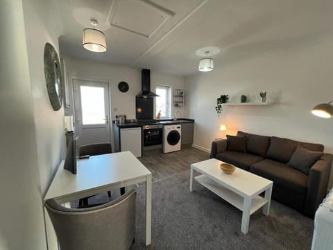 Kitchen or kitchenette, Living room, Seating area, Dining area, minibar, pet friendly, washing machine, dryer