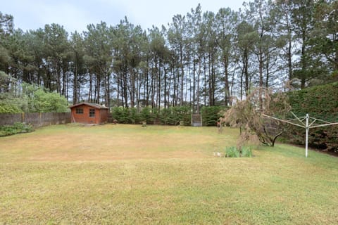 Patio, Garden, Garden view