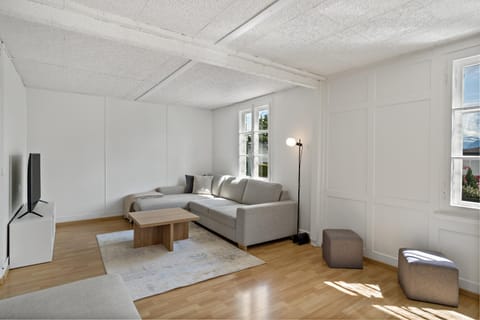 Erlen Rooms Vacation rental in Lucerne