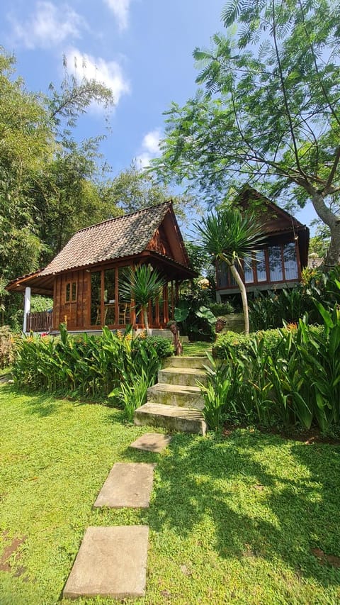 Property building, Natural landscape, Garden view