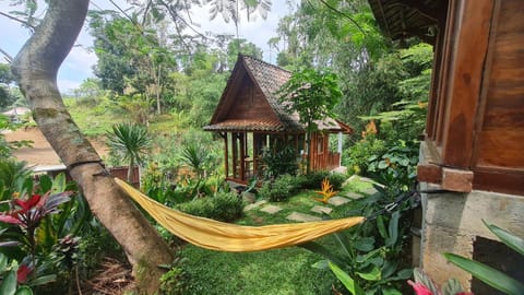 Natural landscape, Garden view