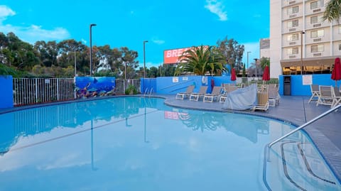 Pool view, Swimming pool