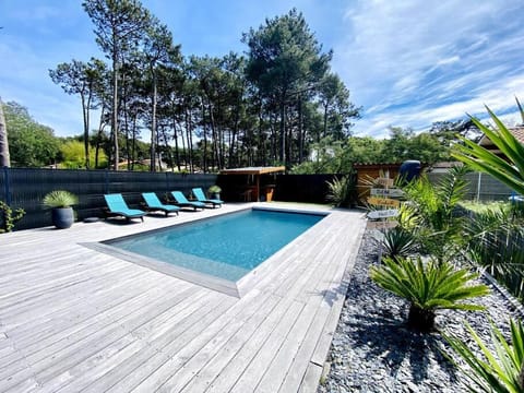 Natural landscape, Garden, Swimming pool, Swimming pool, sunbed