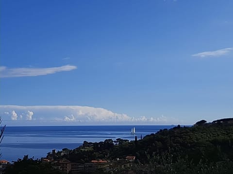 Sea view