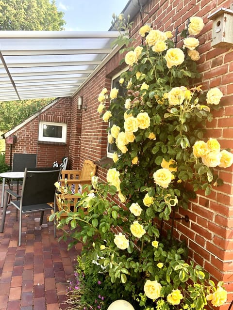 Day, Garden, Balcony/Terrace, Garden view