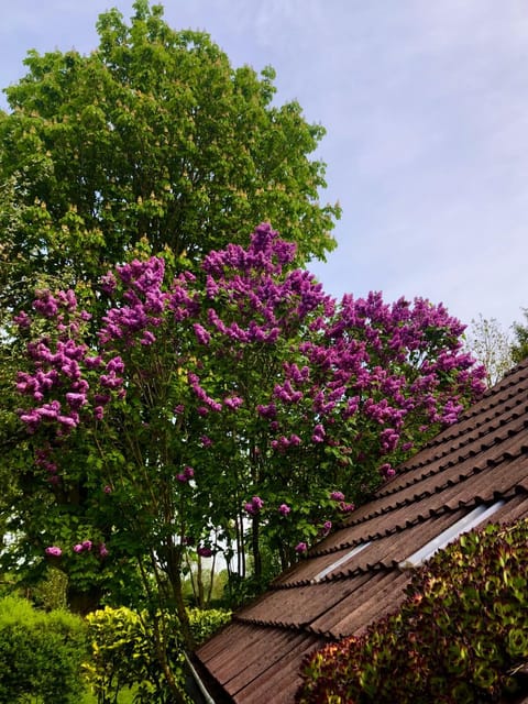 Naturparadies in Aurich Condo in Aurich