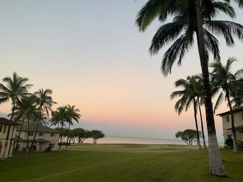 Natural landscape, Garden, Garden view, Sea view, Sunset