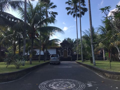 Street view, Parking