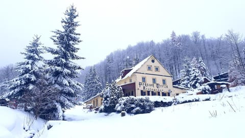 Property building, Natural landscape, Winter, Mountain view