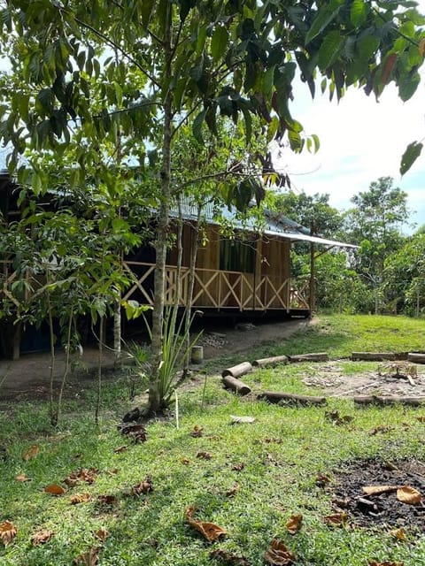 Property building, Garden, Garden view