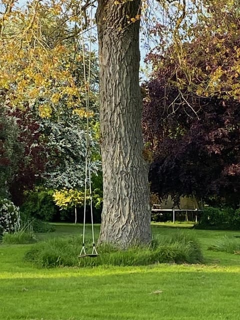 Natural landscape, Garden, Garden view