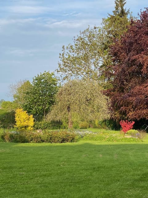 Garden, Garden view