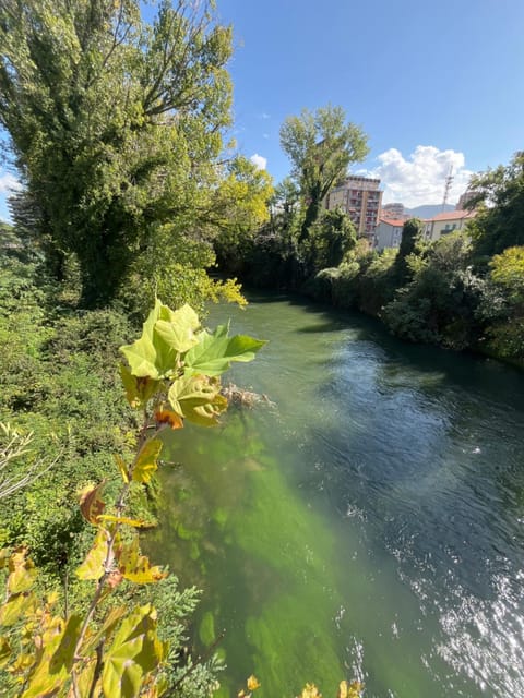 Nearby landmark, Spring, Day, Natural landscape, River view