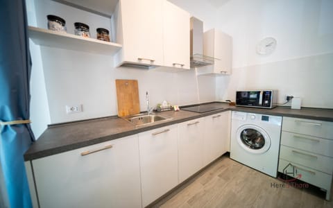 Day, Kitchen or kitchenette, Photo of the whole room, Seasons, dishwasher, minibar, stove, washing machine, kitchen