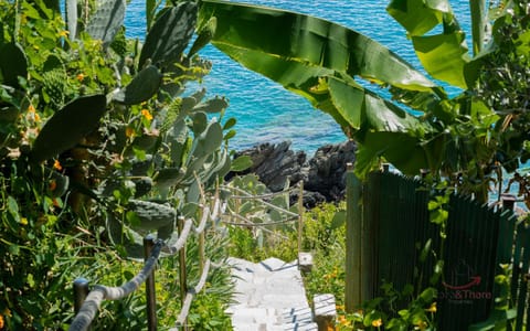 Nearby landmark, Spring, Day, Natural landscape, Summer, Sea view, Seasons, Location