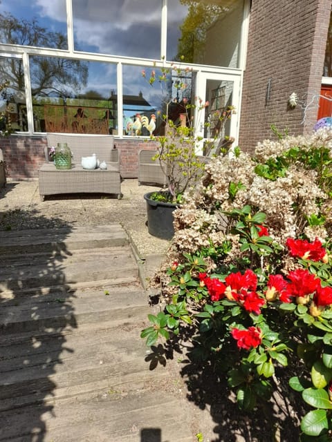 Vakantie Accommodatie Egelantier Villa in Drenthe (province)