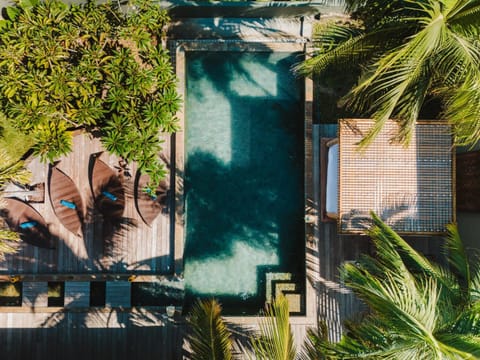 Day, Garden view, Swimming pool