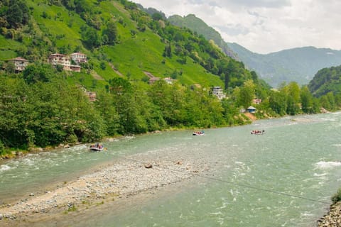 Canoeing, Sports