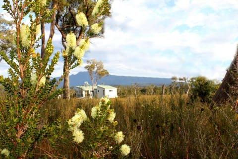 Natural landscape, Garden, Mountain view