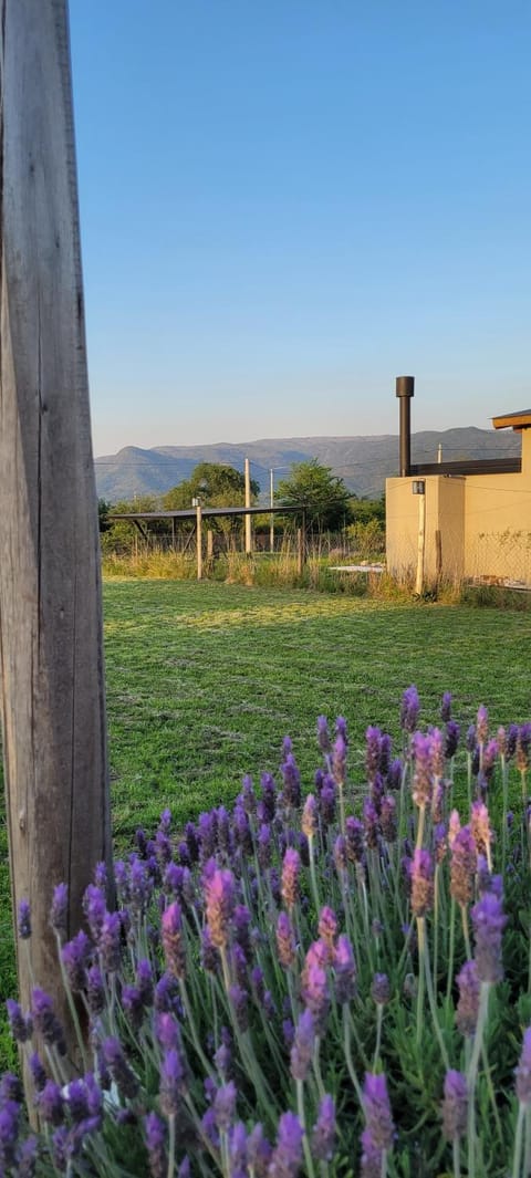 Cabaña los ciruelos House in Santa Rosa de Calamuchita