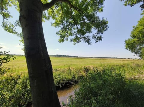 Natural landscape, River view