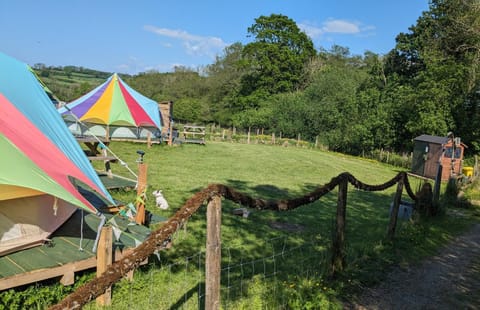Belle Village, non electric ,Rent a bell tent, BEDDING NOT SUPPLIED Camping /
Complejo de autocaravanas in Narberth