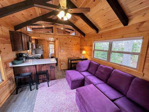 BMV6 Tiny Home village near Bretton Woods Haus in Twin Mountain