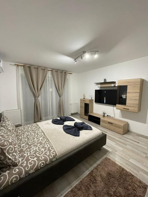 DAI Home Apartment in Brasov