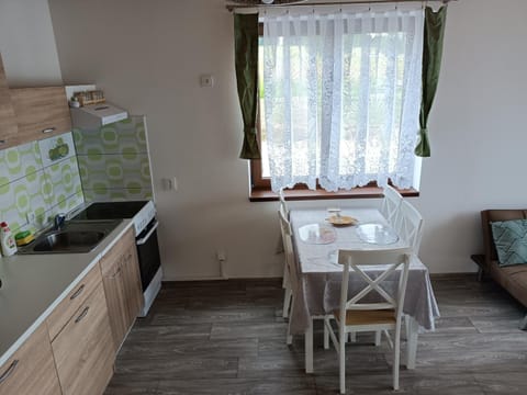 Apartmány u Olšinské kapličky Condo in Horní Planá