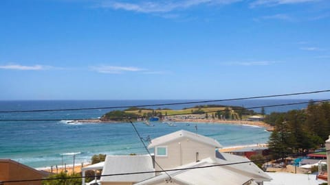 Summerton Comfortable Apartment In Terrigal Accom Holidays House in Terrigal