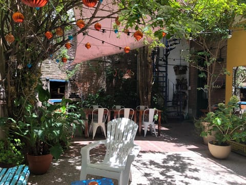 Patio, Garden view