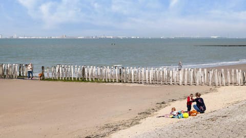 Natural landscape, Beach, Beach