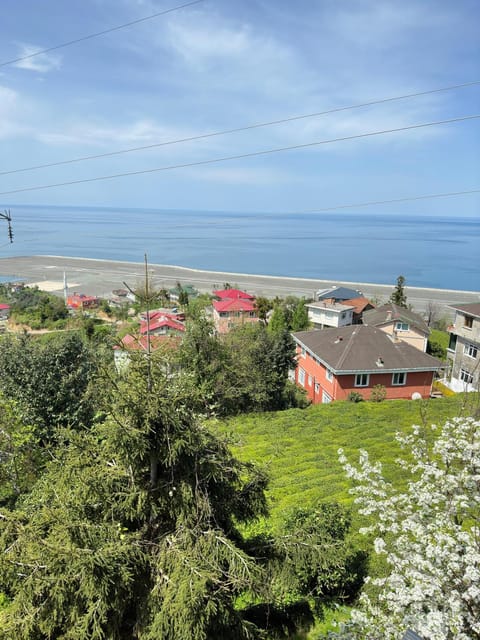 Natural landscape, View (from property/room), View (from property/room), Mountain view