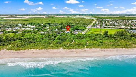 Bird's eye view, Beach