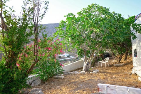 Poppy's House House in Kalymnos