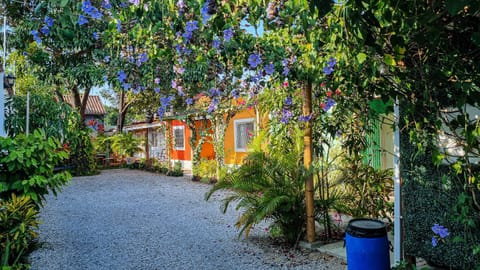 Spring, Garden, Garden view, Parking