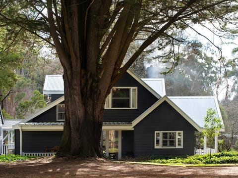 Property building, Garden view