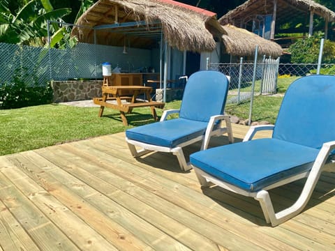 Patio, Day, Garden view, sunbed