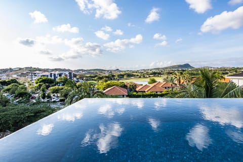 Ocean Sunset Villa luxury stay max. 14 people Villa in Sint Michiel