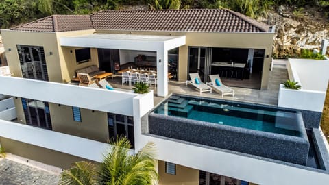 Ocean Sunset Villa luxury stay max. 14 people Villa in Sint Michiel