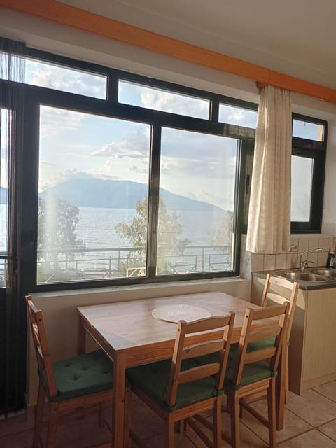 Captain's panoramic sea view Condo in Sami