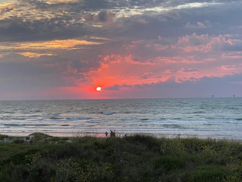 Gulf view 2nd floor condo, with boardwalk to the beach and pool House in Corpus Christi