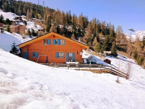 Chalet Alpina House in Riddes