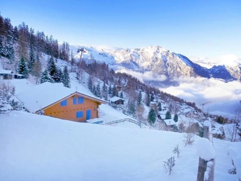 Chalet Alpina House in Riddes